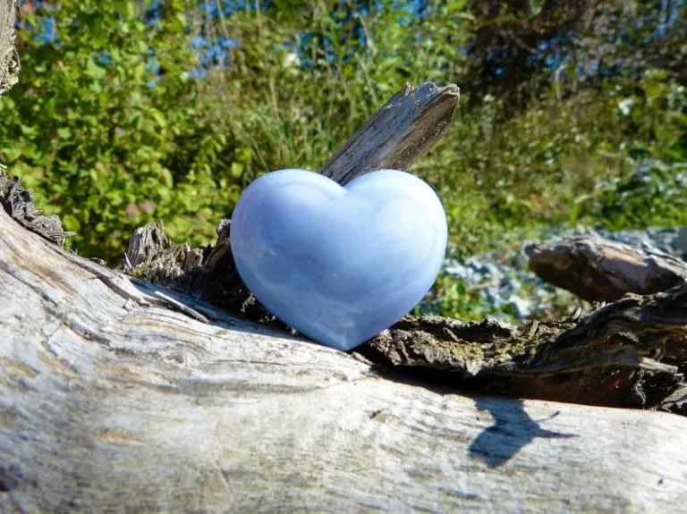 heart-1755925_1280-e1519868733619