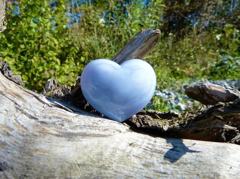 heart-1755925_1280-e1519868733619